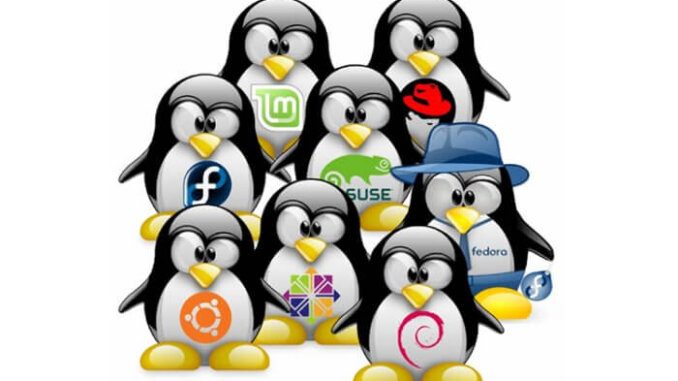 linux-distros-100724403-large